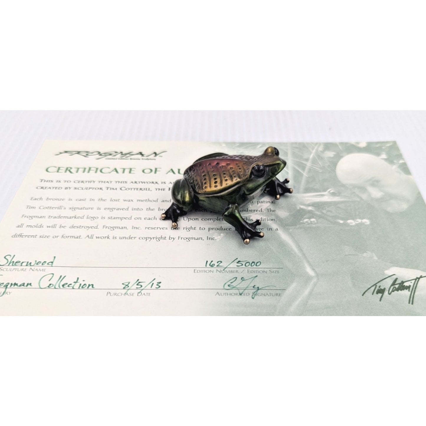 Tim Cotterill Frogman Bronze Frog Sculpture “Sherwood” LE #162/5000 with COA