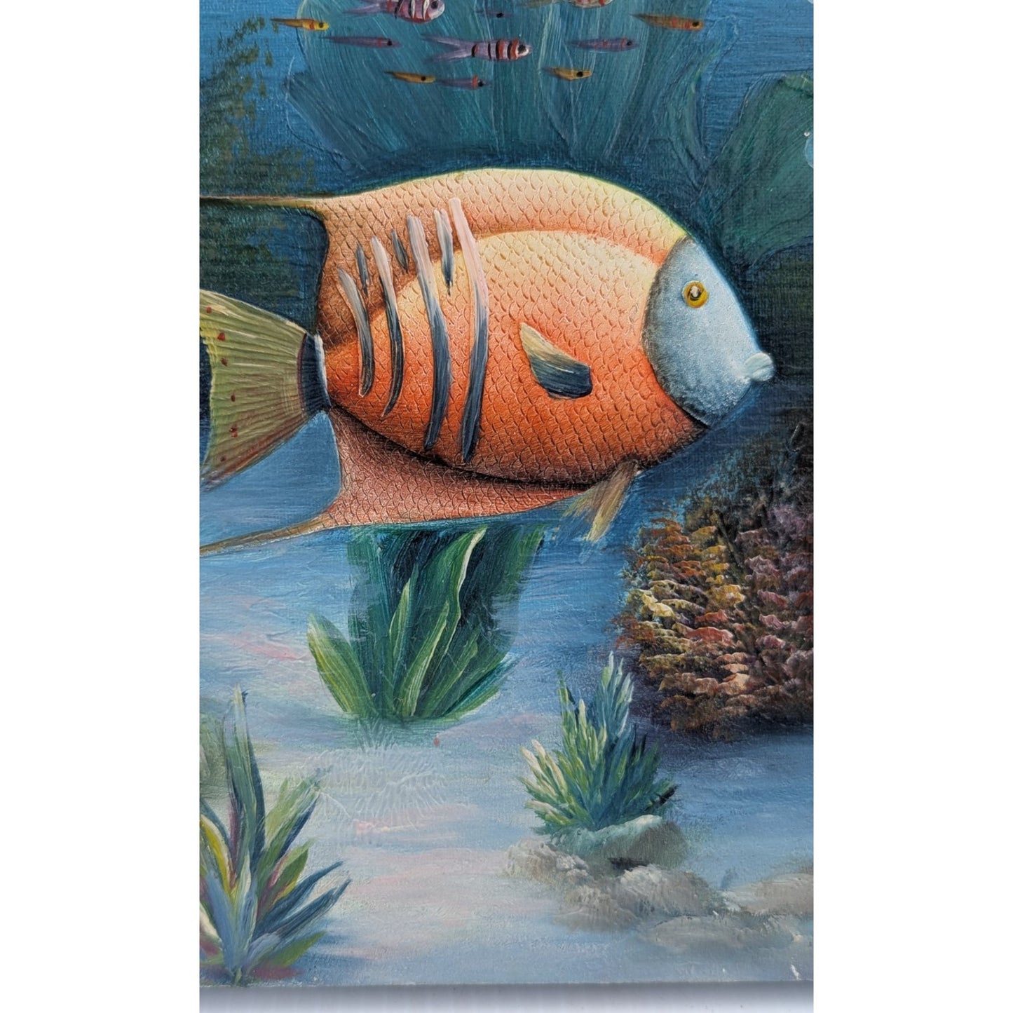 Marine Life Tropical Fish Painting by C Benolt Textured Sea Life Painting Signed