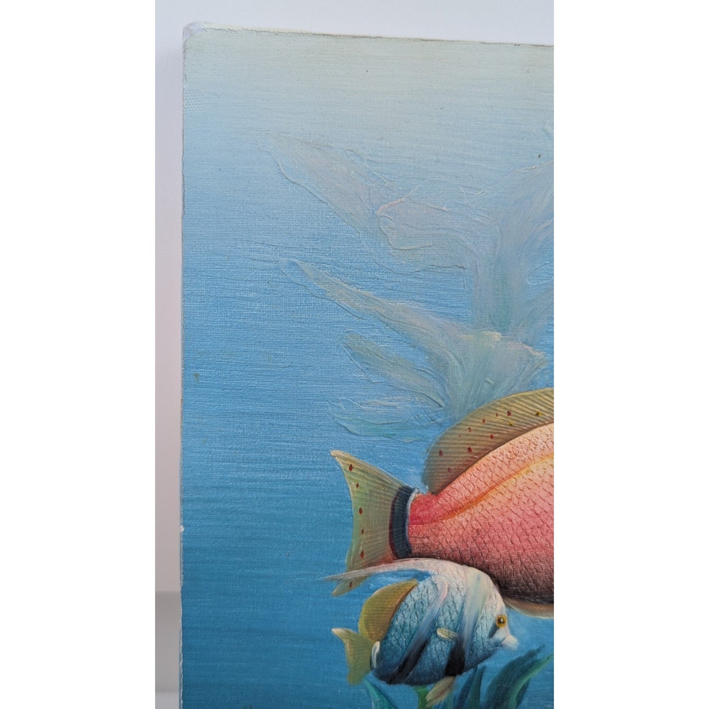Marine Life Tropical Fish Painting by C Benolt Textured Sea Life Painting Signed
