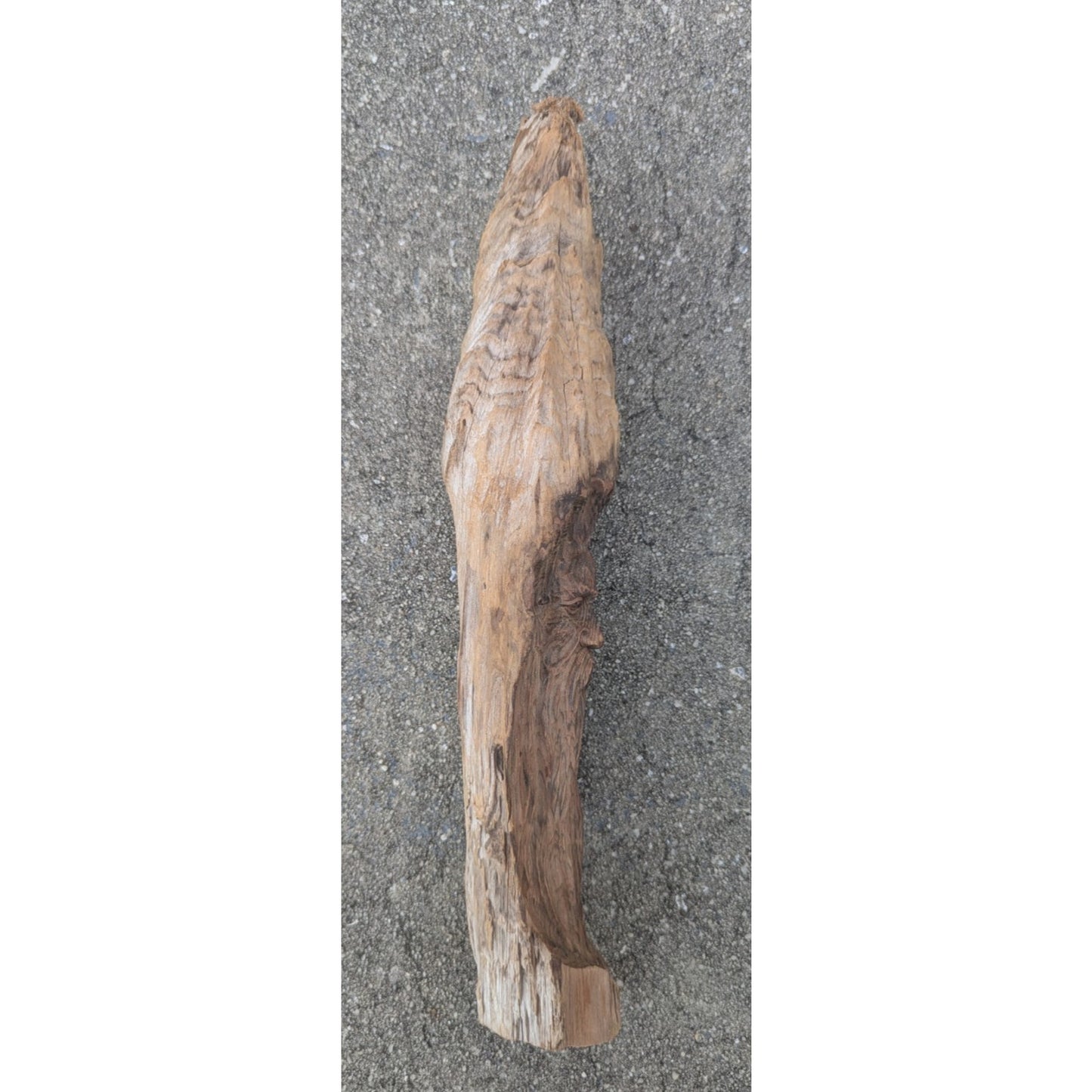Hand Carved Wood Spirit Sculpture Man Folk Art Branch 13.5"