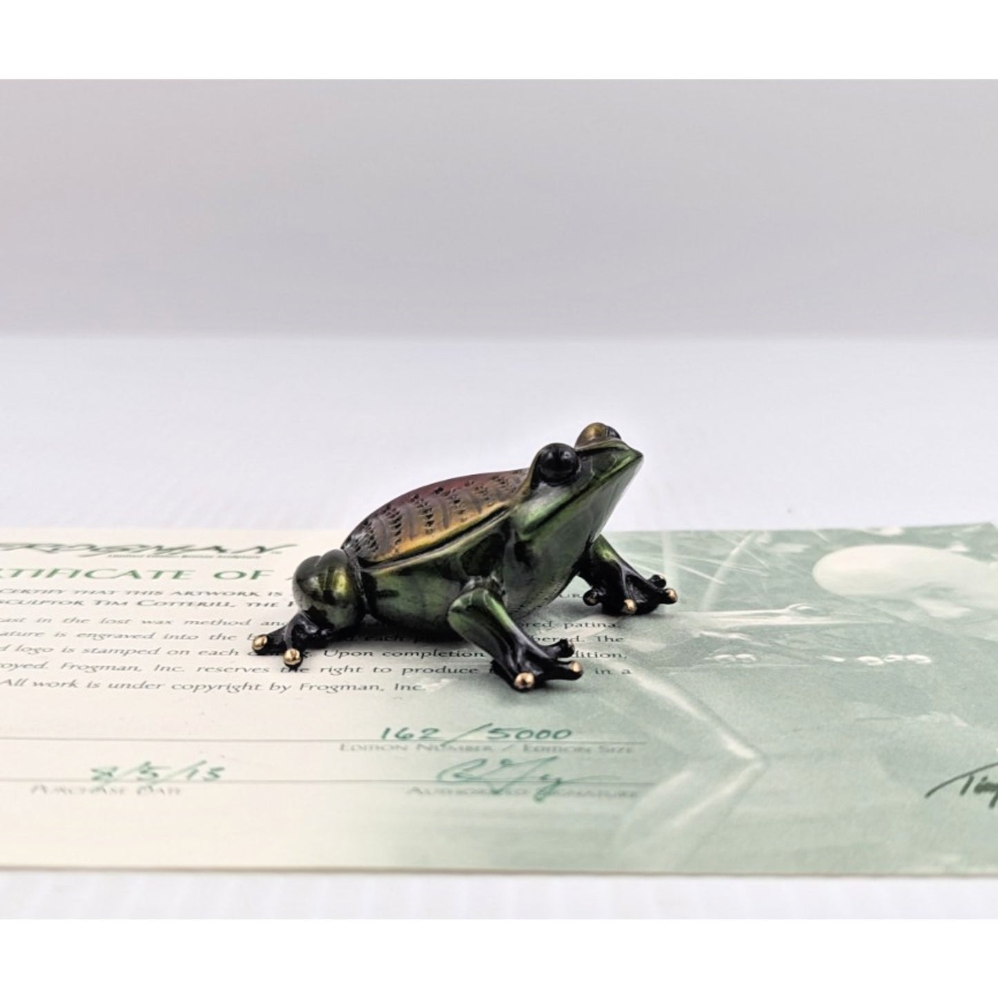 Tim Cotterill Frogman Bronze Frog Sculpture “Sherwood” LE #162/5000 with COA