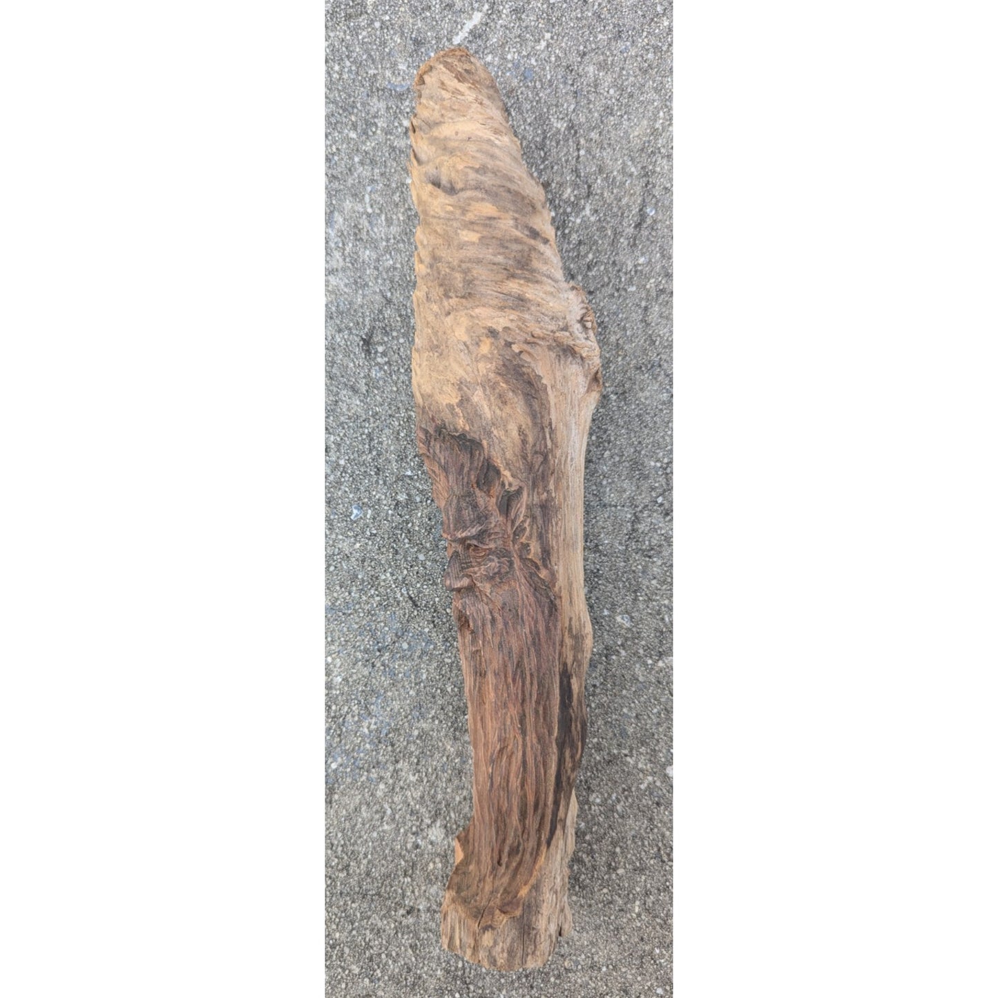 Hand Carved Wood Spirit Sculpture Man Folk Art Branch 13.5"