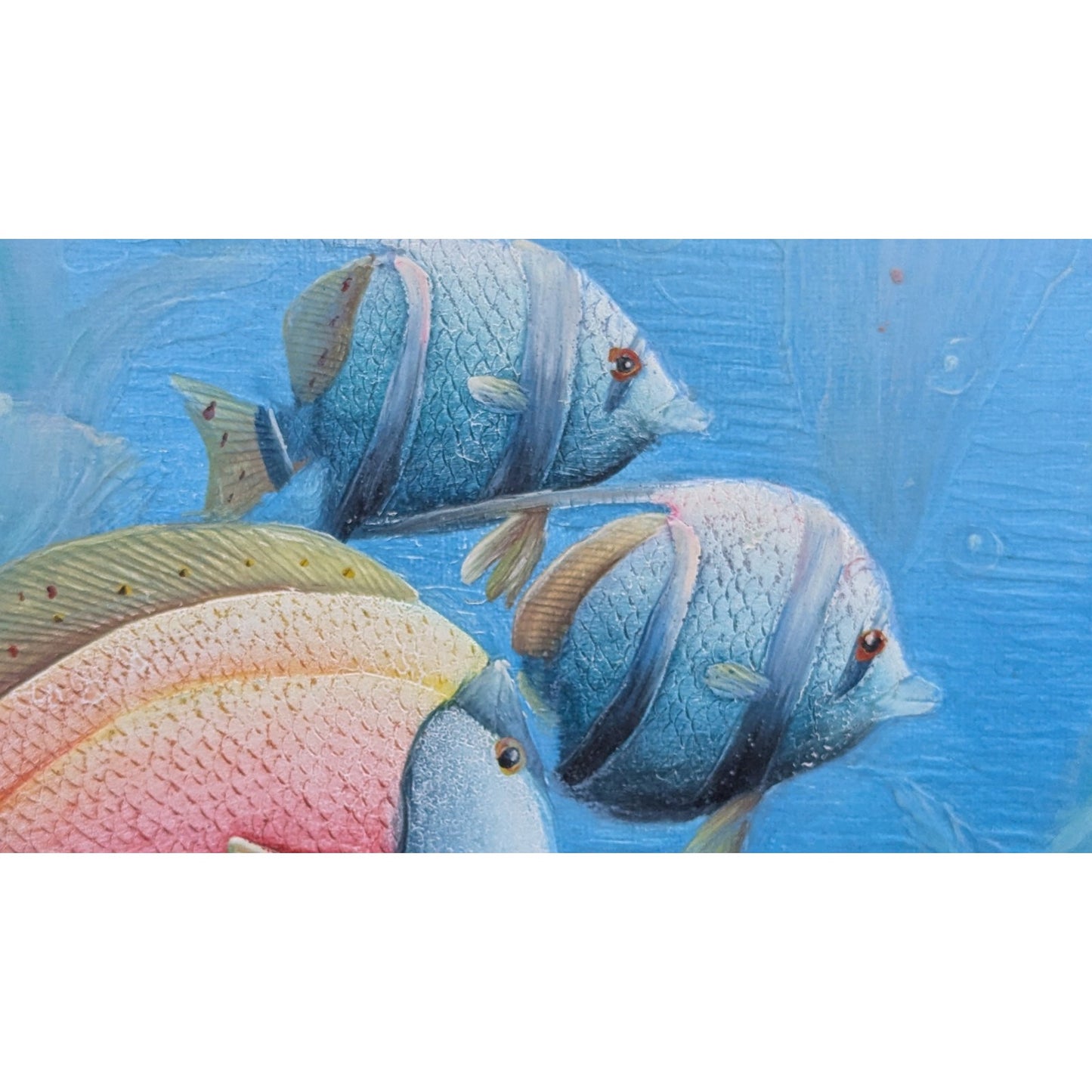 Marine Life Tropical Fish Painting by C Benolt Textured Sea Life Painting Signed