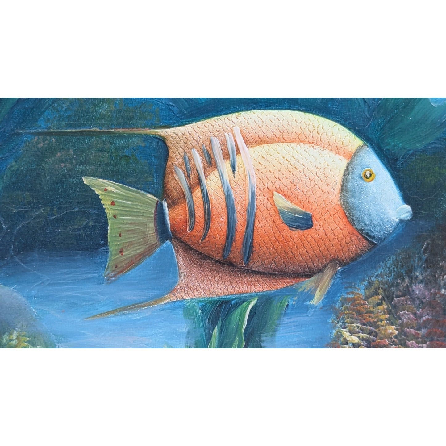 Marine Life Tropical Fish Painting by C Benolt Textured Sea Life Painting Signed