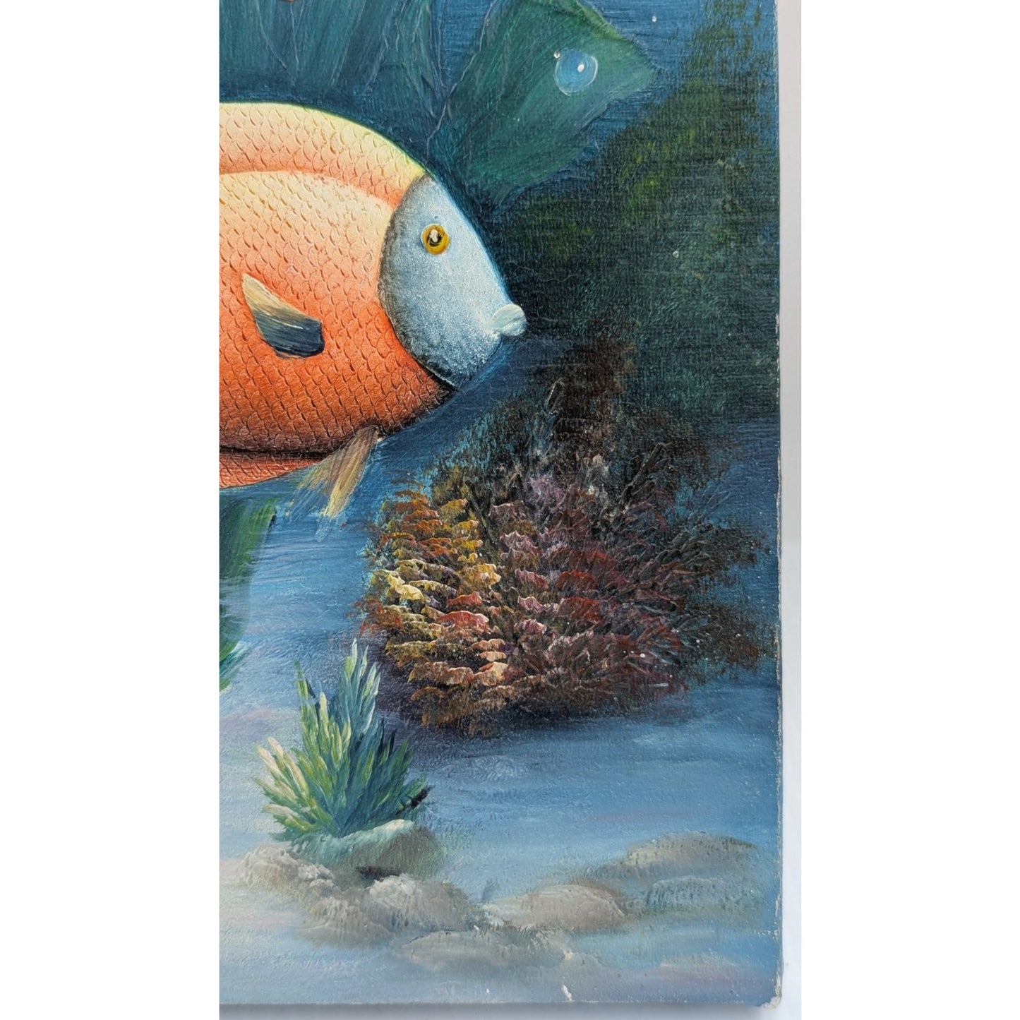 Marine Life Tropical Fish Painting by C Benolt Textured Sea Life Painting Signed