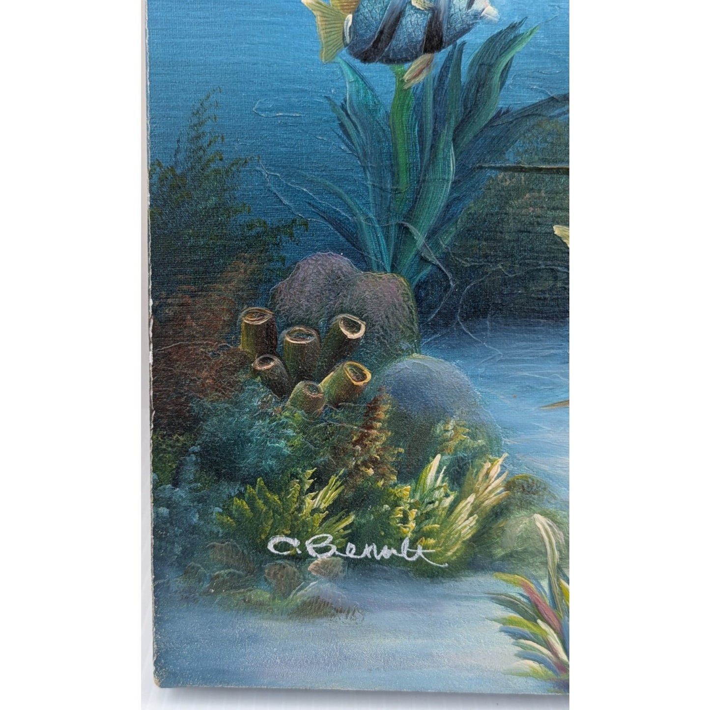 Marine Life Tropical Fish Painting by C Benolt Textured Sea Life Painting Signed