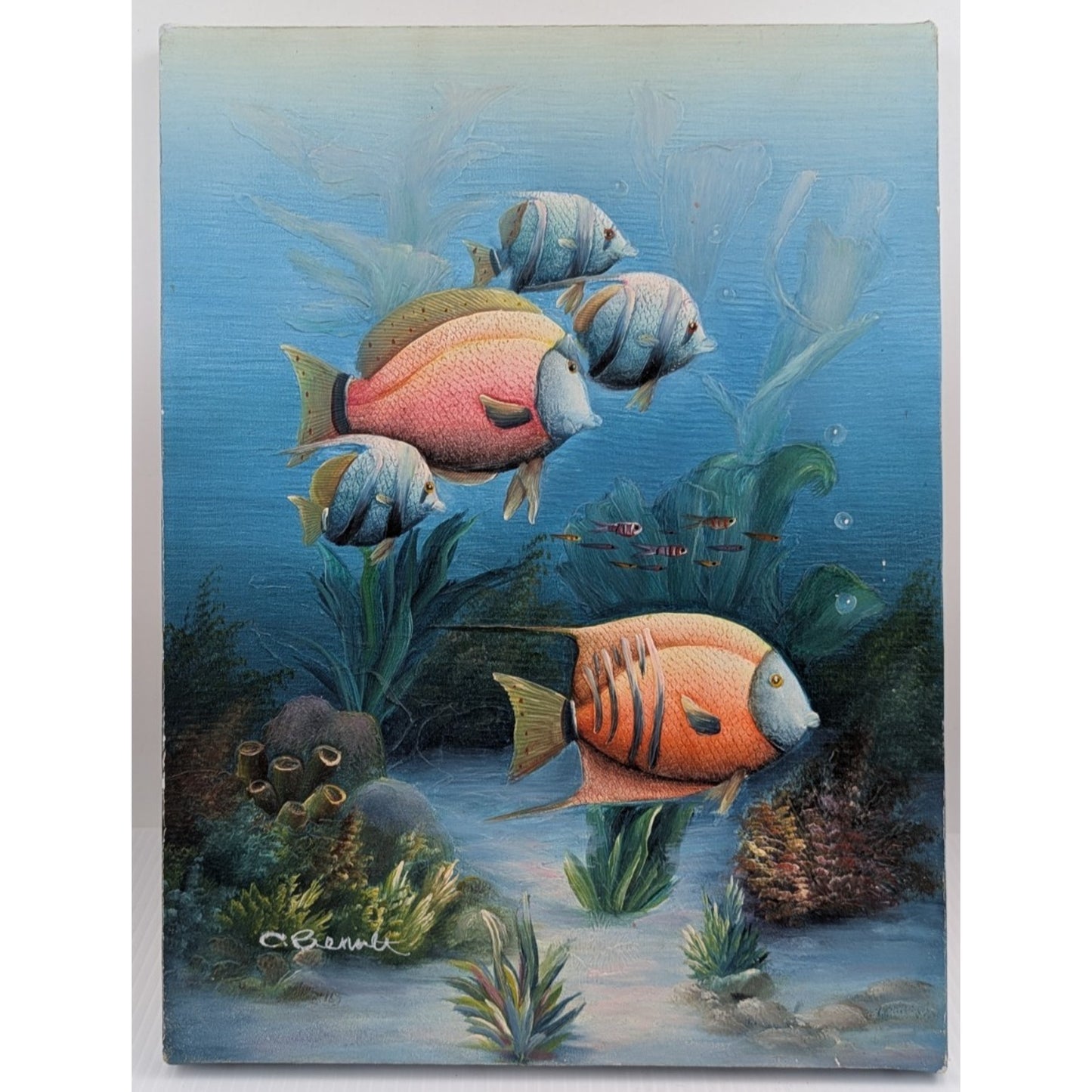 Marine Life Tropical Fish Painting by C Benolt Textured Sea Life Painting Signed