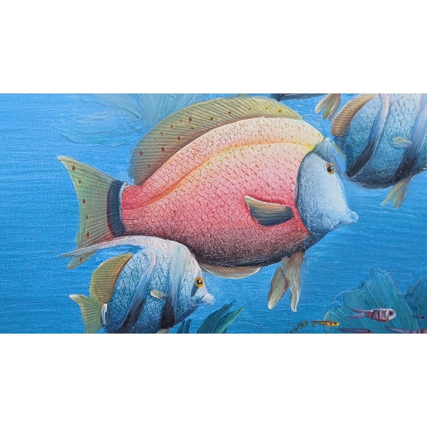 Marine Life Tropical Fish Painting by C Benolt Textured Sea Life Painting Signed