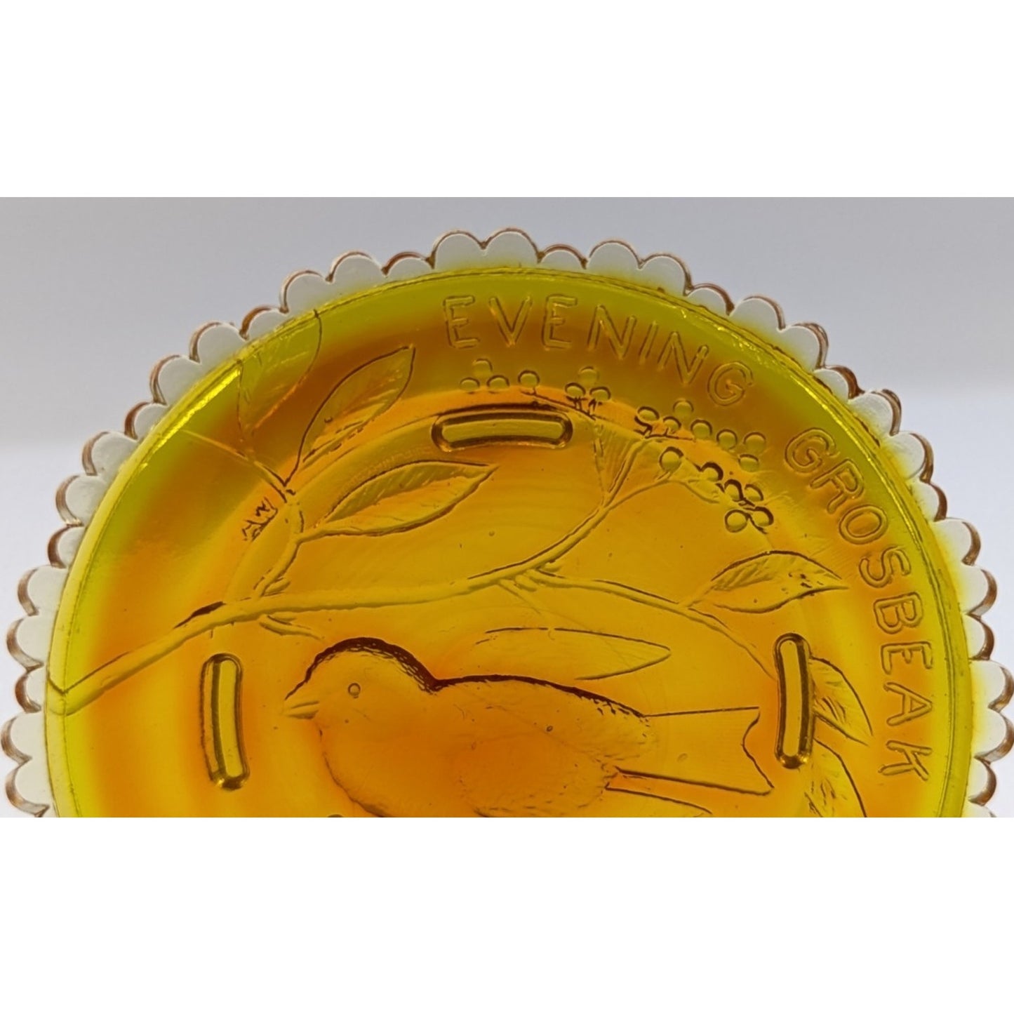 Evening Grosbeak Bird Glass Window Decor Pairpoint Cup Plate Marigold Amber VTG