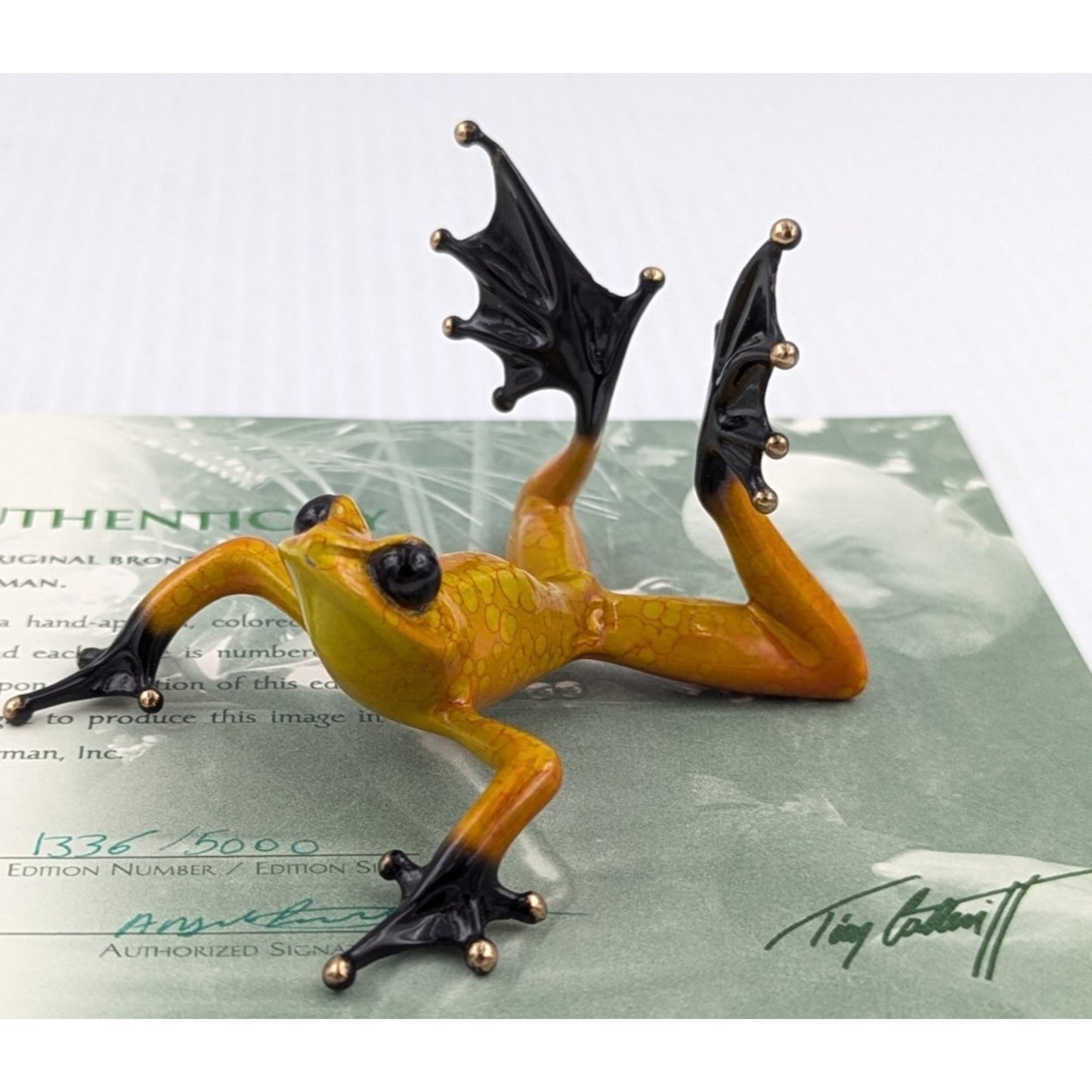Tim Cotterill Frogman Bronze Frog “Sunbather” Figure LE #1336/5000 w COA BF164