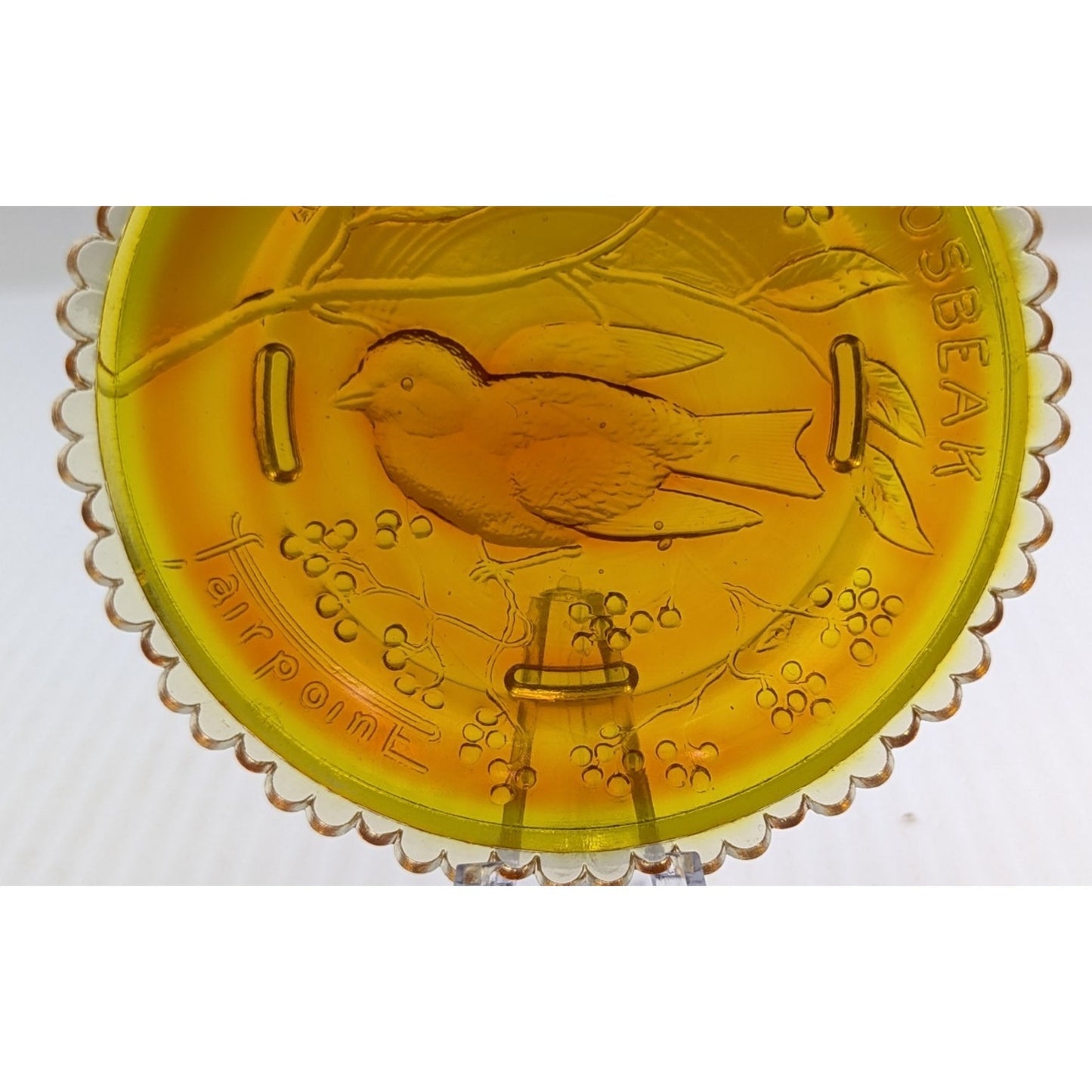 Evening Grosbeak Bird Glass Window Decor Pairpoint Cup Plate Marigold Amber VTG
