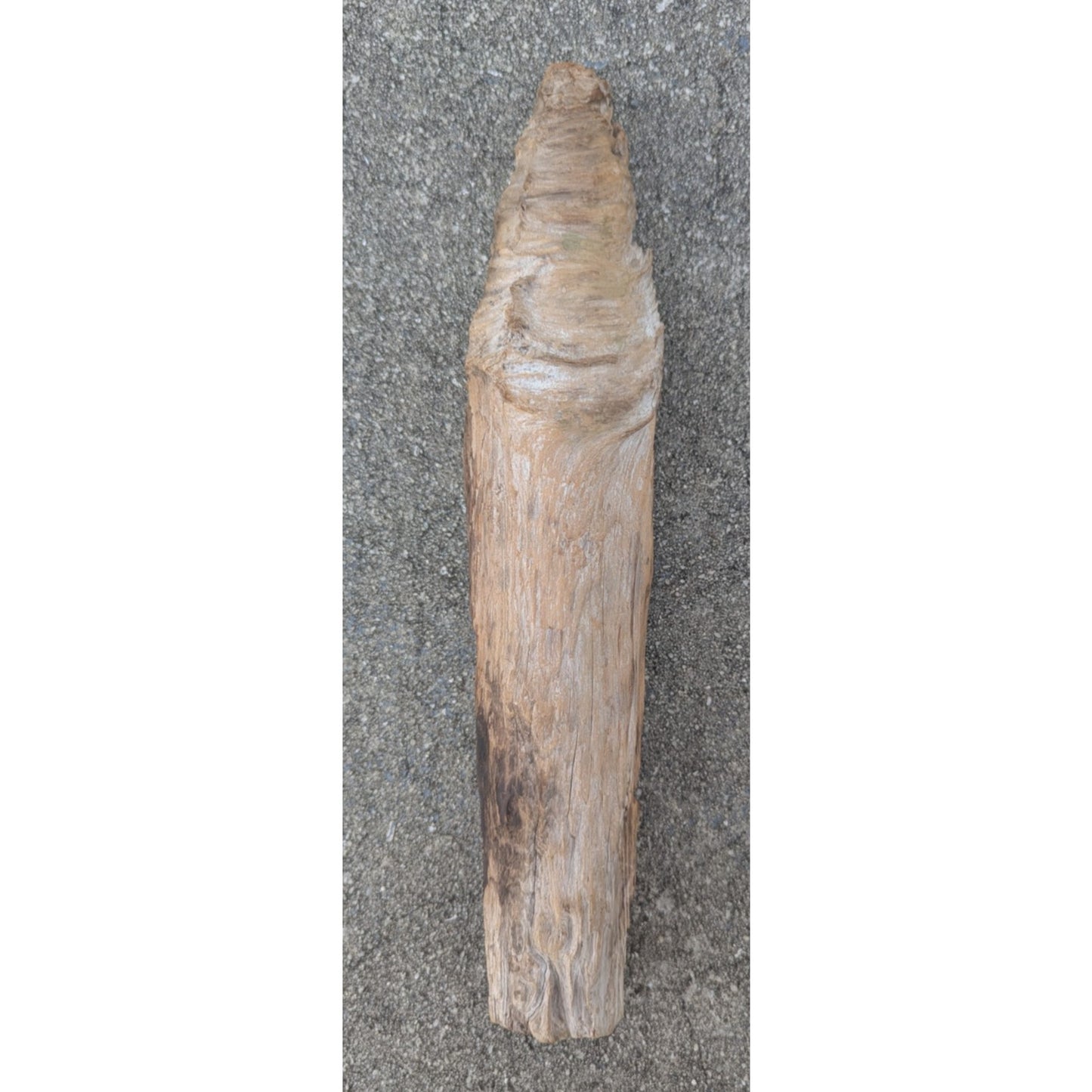 Hand Carved Wood Spirit Sculpture Man Folk Art Branch 13.5"