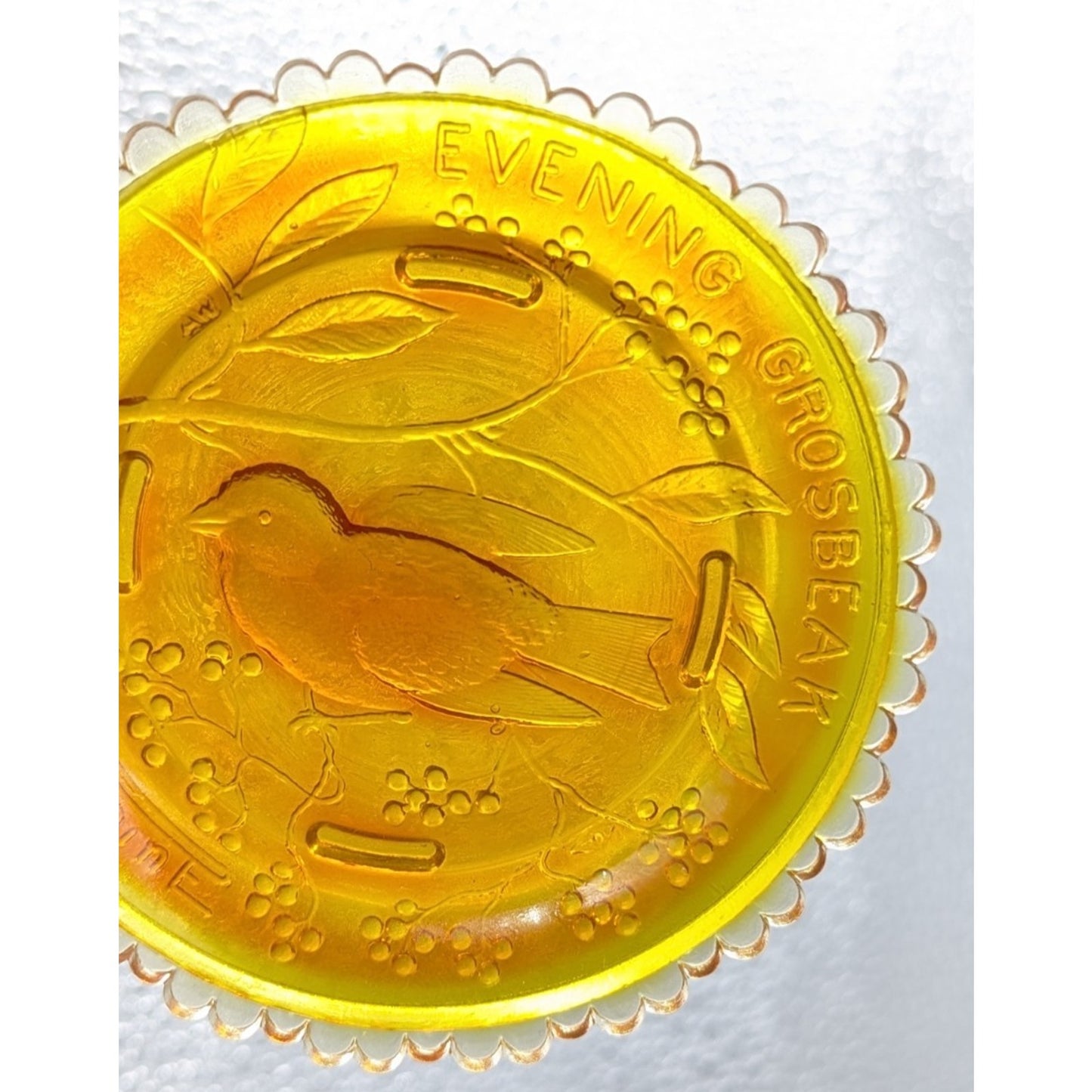 Evening Grosbeak Bird Glass Window Decor Pairpoint Cup Plate Marigold Amber VTG