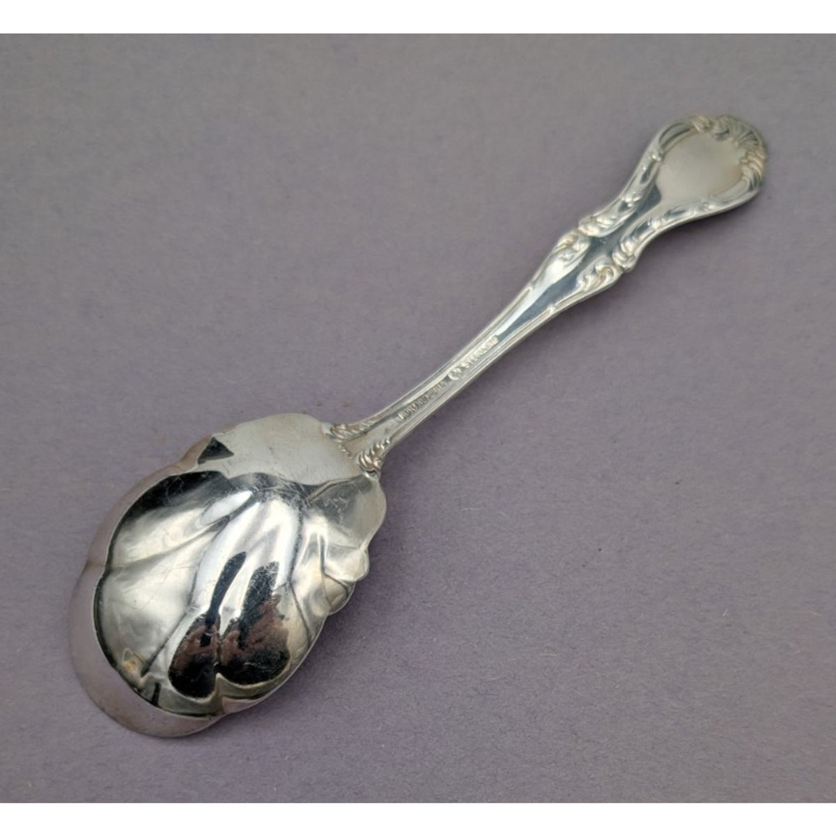 Northumbria Cello Sterling Silver Sugar Shell Spoon 6" 36 g