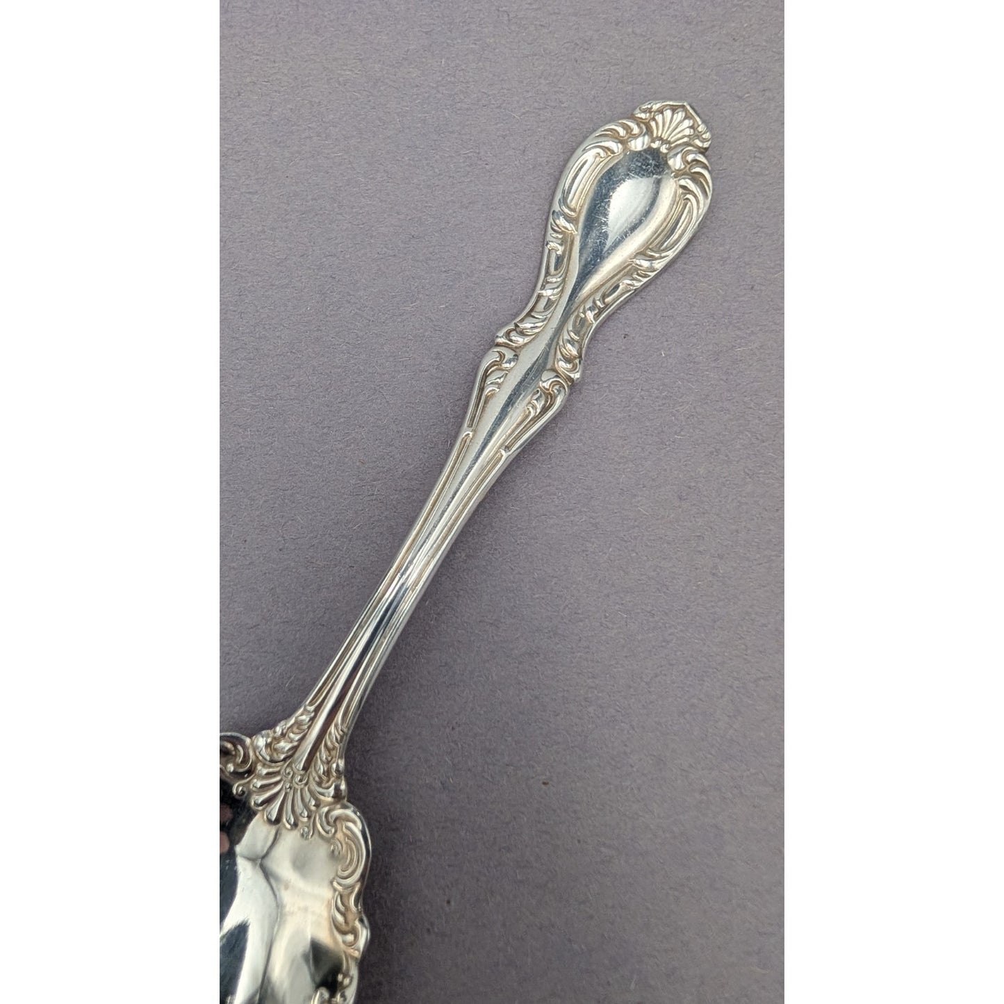 Northumbria Cello Sterling Silver Sugar Shell Spoon 6" 36 g