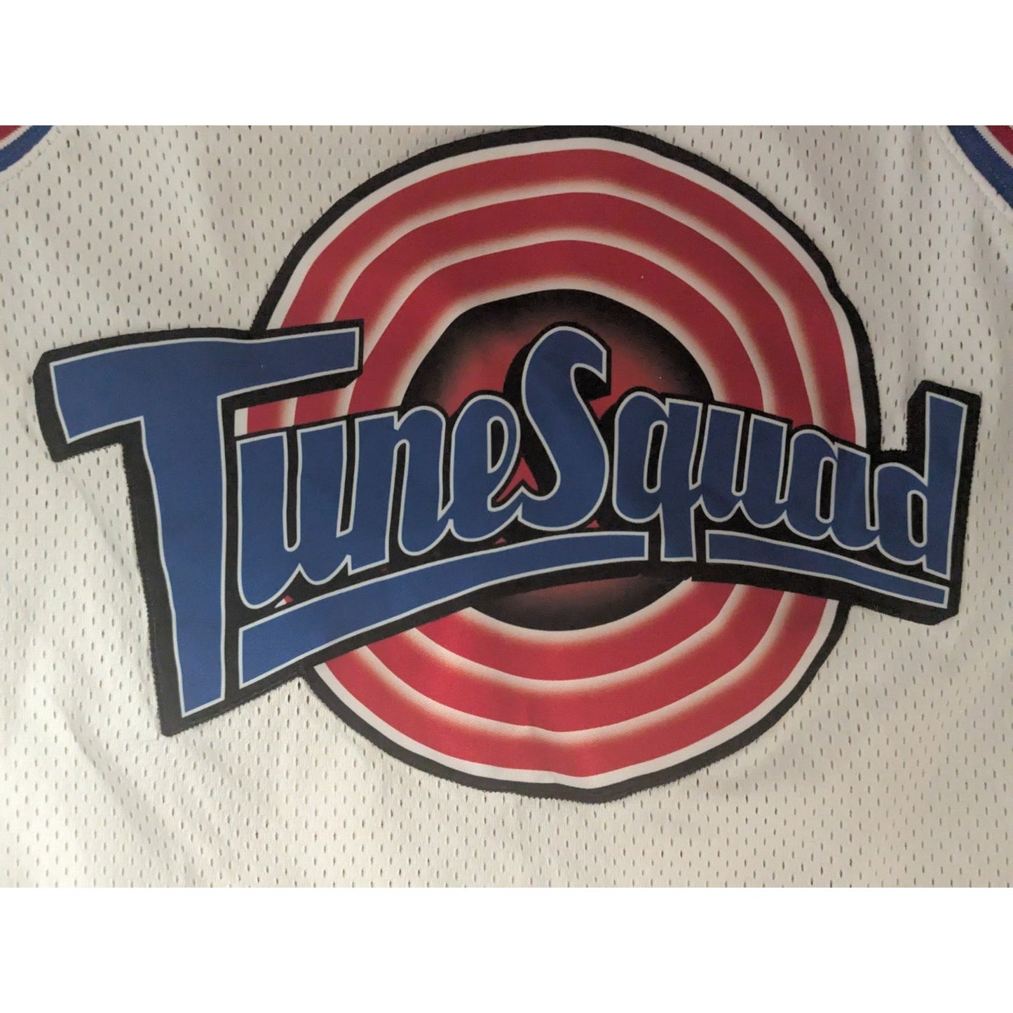 Air Jordan Tune Squad Space Jam Jordan #23 Jersey 20th Anniversary Size S